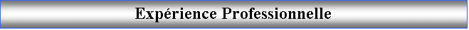 Zone de Texte: Exprience Professionnelle
